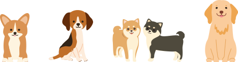 犬