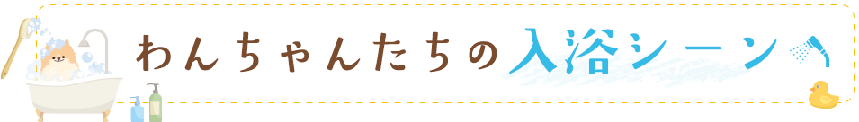 わんちゃんたちの入浴シーン